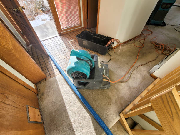 Best Professional water damage repair  in Millers Falls, MA