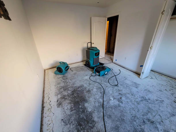 Best Flood damage cleanup  in Millers Falls, MA