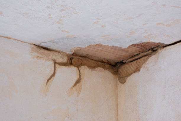 Best Ceiling water damage repair  in Millers Falls, MA
