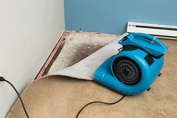 Trusted MA Water damage restoration Experts